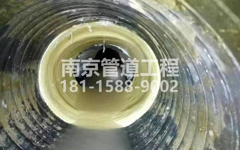 226海盐树脂修复